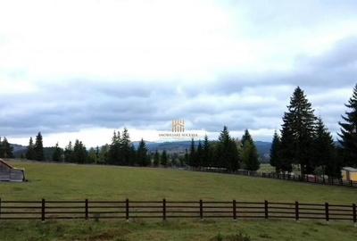 Teren 2804 mp, la munte! In Bucovina Fundu Moldovei! - 10
