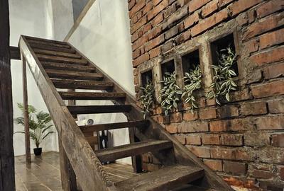 Vila cu arhitectura Cismigiu - 5