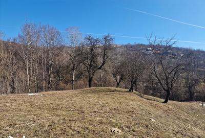 Teren de 4100 mp, în Secăria