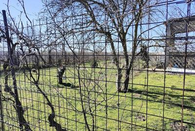 Casă cu Teren 6308 Mp în Smârdan - 10