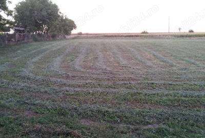 Spațiu comercial, în Cărpiniș - 37