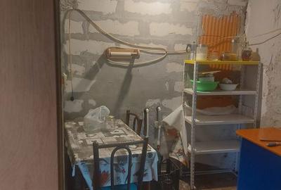 Casă cu 4 camere cu Teren 2570 Mp în Teiu - 4