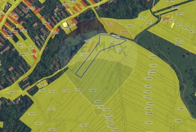Teren extravilan, faneata, 4000 mp, Tarlungeni - 4