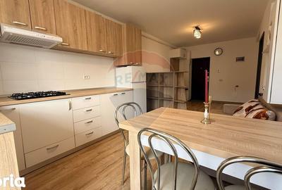 Apartament cu 2 camere, mobilat în Sânpetru - 4