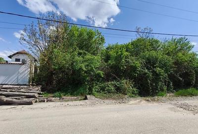 Teren 1712mp de vanzare in Horezu, Turcinesti, langa Pensiunea Arianna - 2