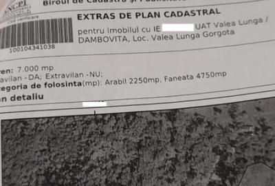 Teren 7000mp Pucioasa - Zona Pitoreasca - 15