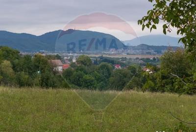 Teren de 3175 mp, în Poiana Angelescu - 13