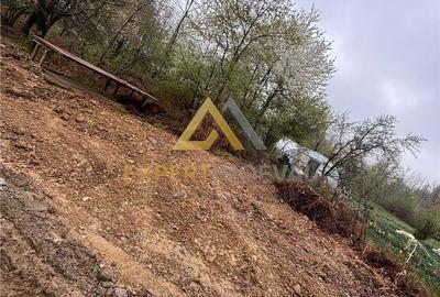 Teren de 1000 mp, în Groși - 9