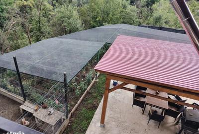 Casă cu 5 camere cu Teren 1500 Mp în Drajna - 8