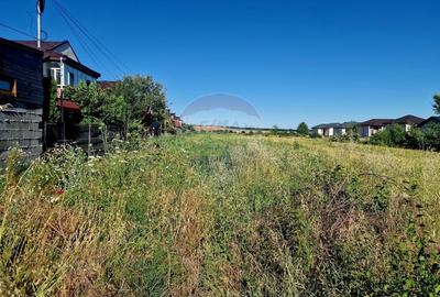 Teren Construcții intravilan de 3538 mp, în 1 Mai - 3