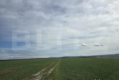 Teren de 243504 mp, în Ardud