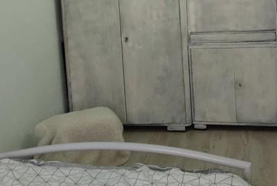 Apartament cu 3 camere semidecomandat în Micălaca - 8