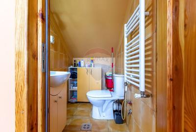 Vila de vanzare in Podis-Bacau - 12