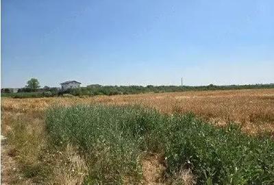 Teren extravilan cota parte 1/2, Magurele, ID: R2641535 - 4