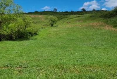 Teren de 2200 mp, în Sânpaul - 2