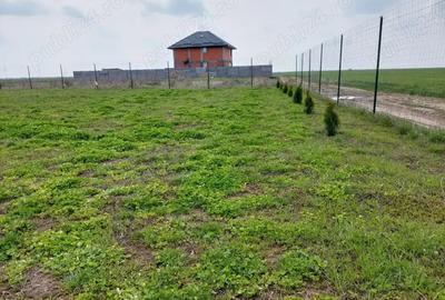 Inchiriez teren intravilan in Adunatii Copaceni 1200mp - 1