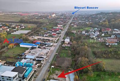 Spațiu Industrial și Comercial de Închiriat - Bascov - DN7C - 14