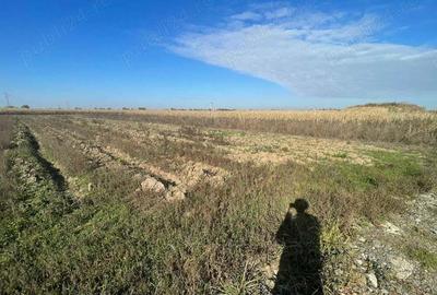 Vand teren intravilan arabil - 2