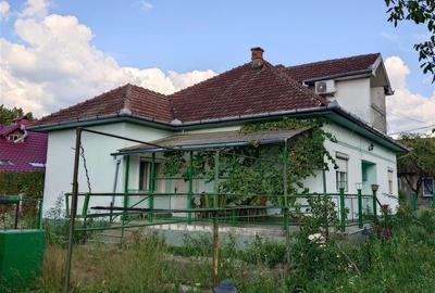 Casa P+M cu teren generos si loturi suplimentare in Baia de Cris Casa P+M cu teren generos si loturi suplimentare in Baia de Cris - 1