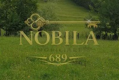 Teren de 5000 mp, în Cerdac - 1