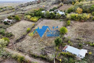 Teren de 3044 mp, în Niculițel - 9