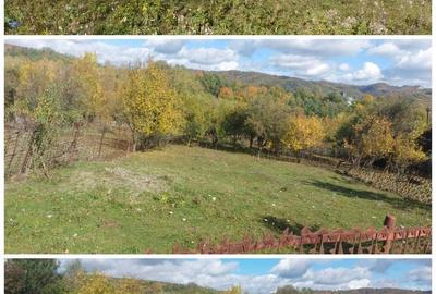 Teren de 3500 mp, în Berevoești - 2