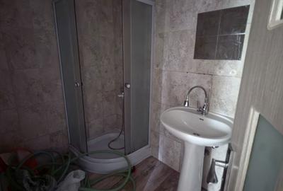 Spațiu comercial, în Petricani - 9