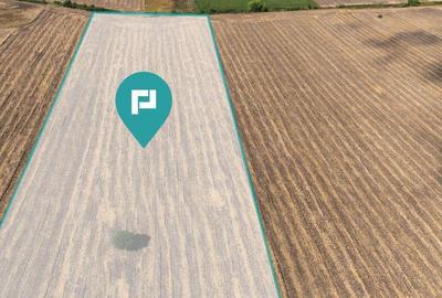 Oportunitate! Teren 4.345 mp Sagului - 5