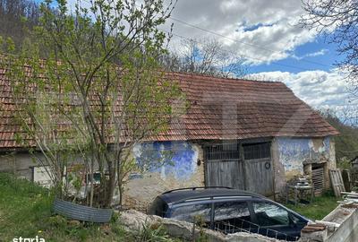 Casă cu 4 camere cu Teren 12186 Mp în Boiu - 7