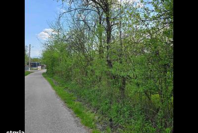 Spațiu comercial, în Bacea - 8