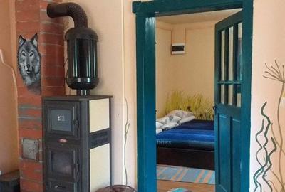 Casă cu 4 camere cu Teren 8000 Mp în Vale - 4
