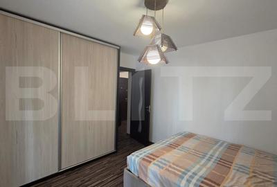 Apartament 3 camere - decomandat, parter - Brazda lui Novac - 6