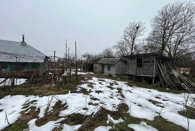 Casă cu Teren 2400 Mp în Toporu - 7