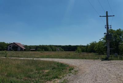 Teren Construcții intravilan de 1250 mp, în Ciofliceni - 6