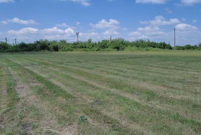 Spațiu comercial, în Torontalului