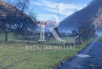 Teren de 1500 mp, în Bulz - 6