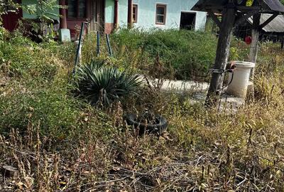 Casa de vanzare ,stare buna Casa de vanzare ,stare buna - 4