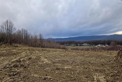 Teren Construcții intravilan de 748 mp, în Bârnova - 3