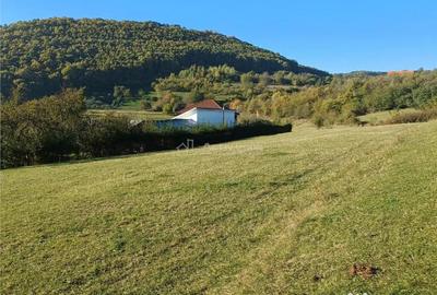 Teren de 2455 mp, în Rășinari - 4