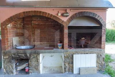 Spațiu comercial, de 208 mp, în Boghiș - 11