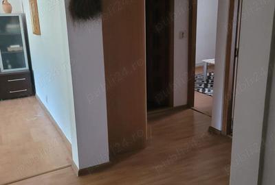 Apartament cu 3 camere decomandat în Lupac - 2