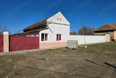 Casă cu Teren 980 Mp în Satchinez - 3