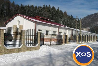 Oportunitate Unică: Vând Teren și Hală Industrială în Zemeș, Bacău - 3