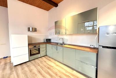 Casa/apartament tip studio/curte de inchiriat Parc Bazilescu - 3