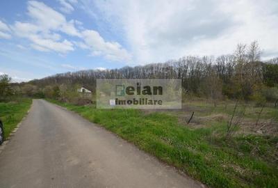 Teren Construcții intravilan de 3200 mp, în Snagov - 3