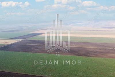 Teren de 5 mp, în Moacșa - 3