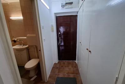 Garsonieră decomandată, mobilată în Drumul Taberei - 10