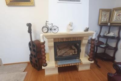 Casa  moderna mobilata cu beci 165mp +3000mp teren Cotnari - 4