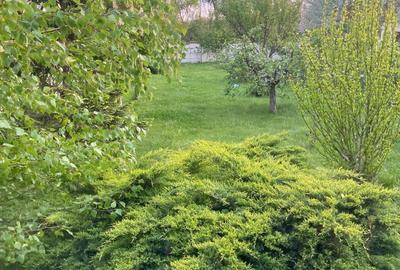 Vilă | 7 Camere |  Ds+P+1E+M | Teren 1346mp | Ieșire la Lac | Comuna Berceni - 9