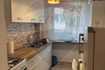 Apartament cu 2 camere, mobilat în Gruia - 11